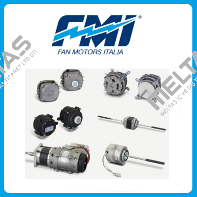 FMI (Fan Motors Italia)