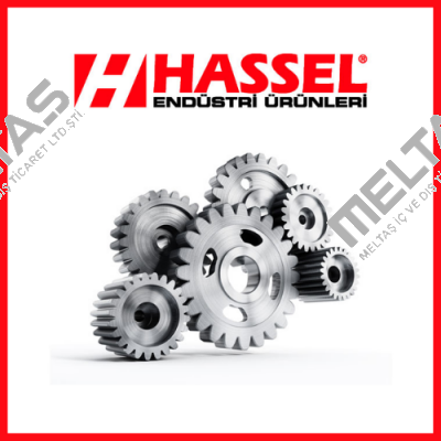 Hassel