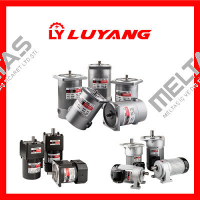 Luyang Gear Motor