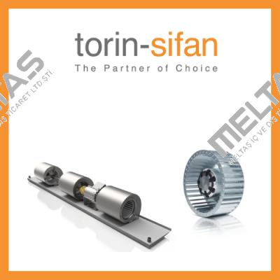 Torin-Sifan