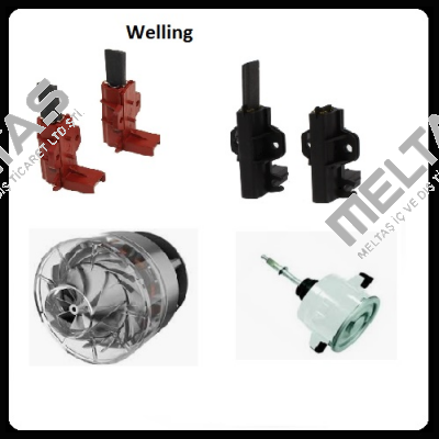 Guangdong Welling Motor