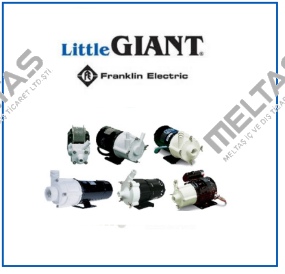 3/4. Little Giant