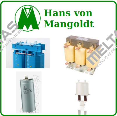 1009955 OEM  Hans von Mangoldt