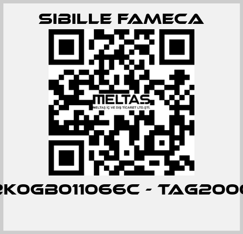 2K0GB011066C - TAG2000  Sibille Fameca