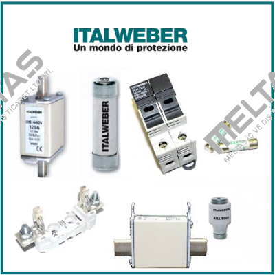 0101251  Italweber