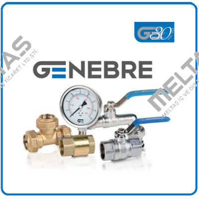 Repair kit for butterfly-valve DN300 PN10   Genebre