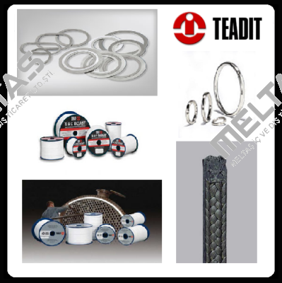 24SH DN50 PN10/16  Teadit