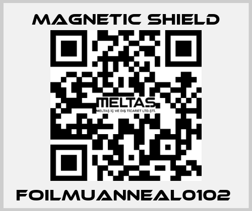 FOILMUANNEAL0102  Magnetic Shield