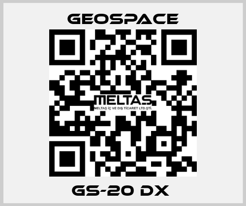 GS-20 DX  GeoSpace