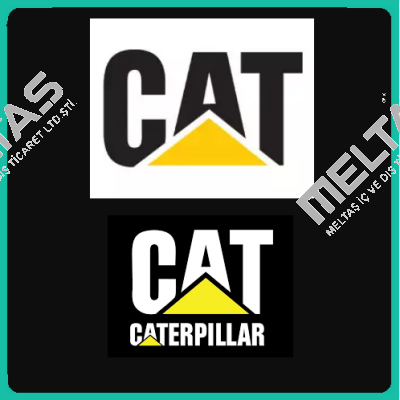 0001362943 Caterpillar