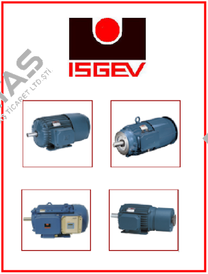 AFTS 100 LA4- cast iron  Isgev