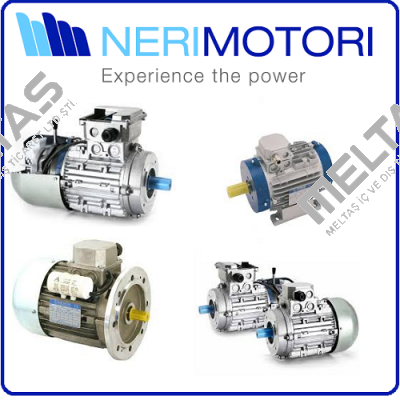 8A0002 100B-4  NR.10129933037   230/400 V    3 KW    1430 U/MIN    11,2/6,44 A Neri Motori