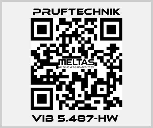 VIB 5.487-HW  Pruftechnik