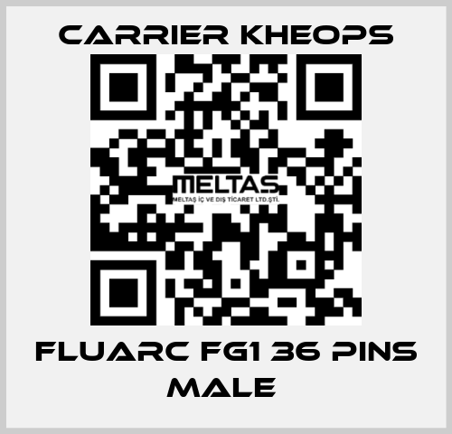 Fluarc FG1 36 Pins Male  Carrier Kheops