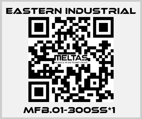 MFB.01-300SS*1  Eastern Industrial