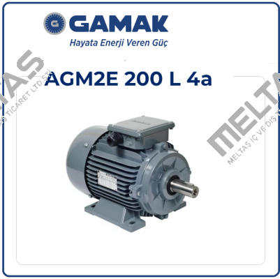 AGM2E 200 L 4 Gamak