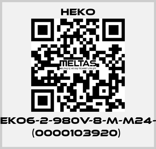 KB-105-TS-HEKO6-2-980V-8-M-M24-1DL-SPS1481 (0000103920)  HEKO