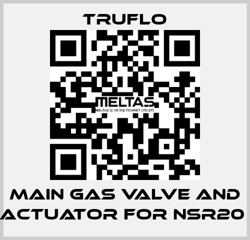 Main Gas Valve and Actuator For NSR20  TRUFLO