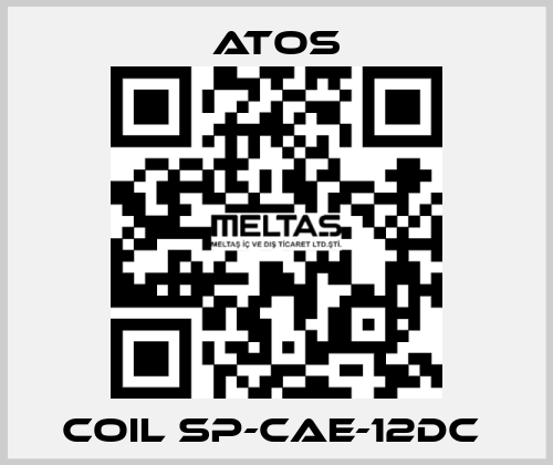 Coil SP-CAE-12DC  Atos