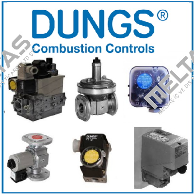 DMV-D 5040/11 230 VAC  Dungs