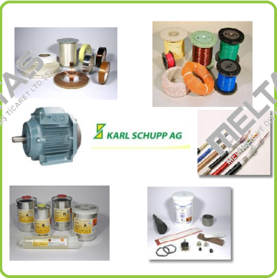 108401  (WWWSCH025) Karl Schupp AG