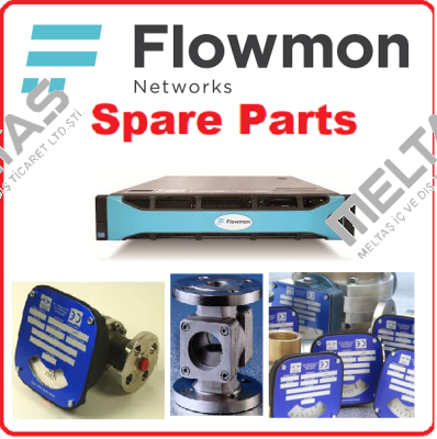 FMM-35-AL-LP-3EE-1CS-24W150-SI-D2  Flow-Mon