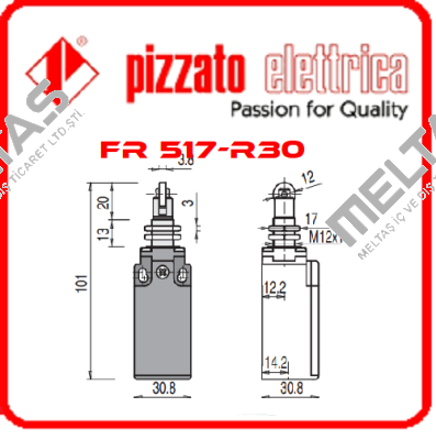 FR 517-R30 Pizzato Elettrica