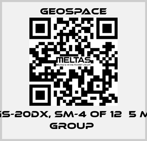 GS-20DX, SM-4 OF 12Х5 M, GROUP  GeoSpace