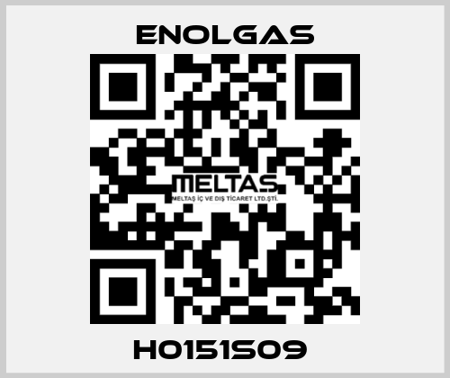 H0151S09  Enolgas