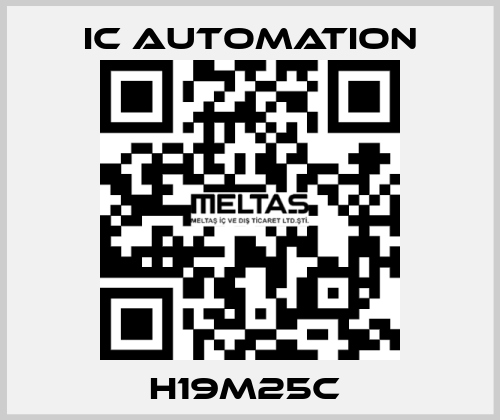 H19M25C  ic automation