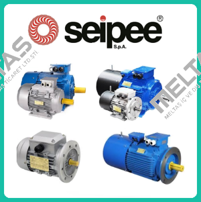 HB3 200L 4 400-50 B3 SEIPEE