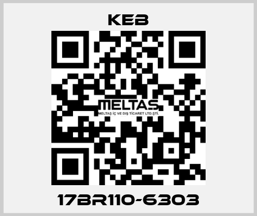 17BR110-6303 KEB