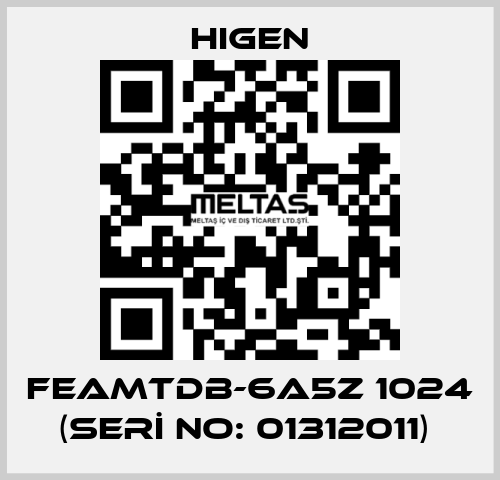 FEAMTDB-6A5Z 1024 (SERİ NO: 01312011)  Higen