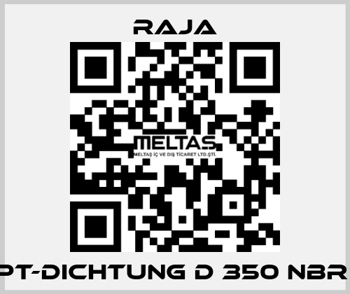 PT-Dichtung D 350 NBR  Raja