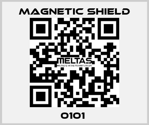 0101  Magnetic Shield