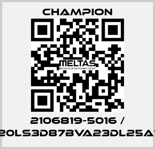 2106819-5016 / G20LS3D87BVA23DL25A10 Champion