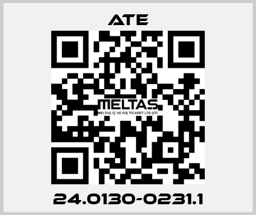 24.0130-0231.1 Ate