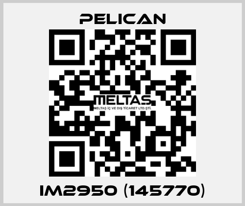 iM2950 (145770) Pelican