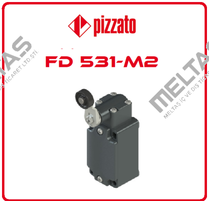 FD 531-M2 Pizzato Elettrica