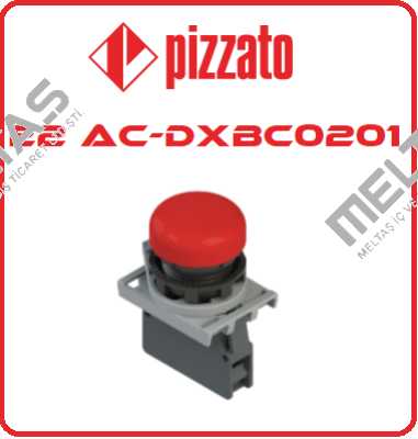 E2AC-DXBC0201 Pizzato Elettrica