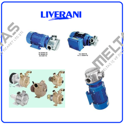 MOTOR FOR HBL30/2 A  Liverani