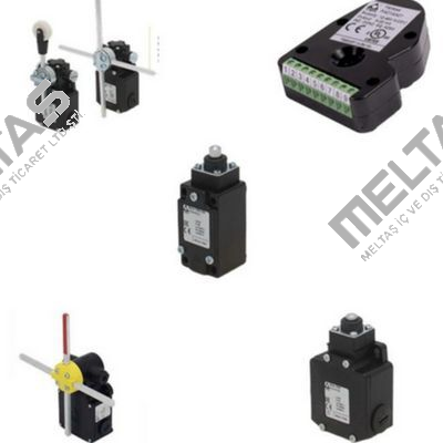 OVER LOAD LIMIT SWITCH P/N BT3 Ter Tecno Elettrica Ravasi