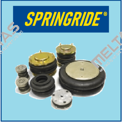 SP1538 Springride