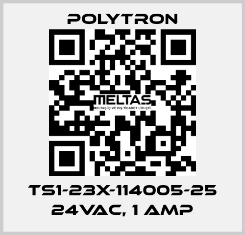 TS1-23X-114005-25 24VAC, 1 Amp Polytron