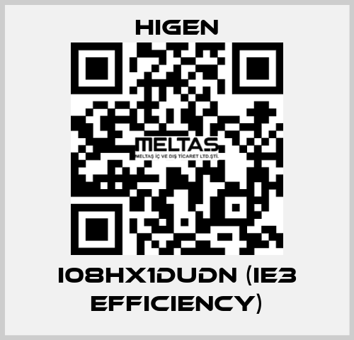 I08HX1DUDN (IE3 efficiency) Higen