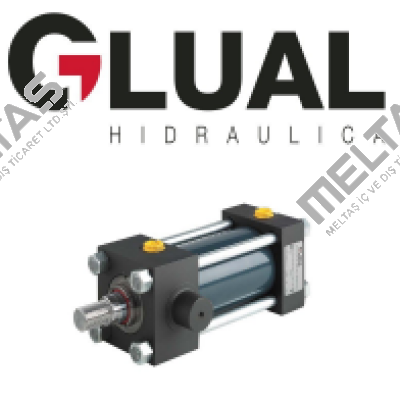 KI-40/28X500-B203-2-AD-A-1-M-30 Glual Hydraulics