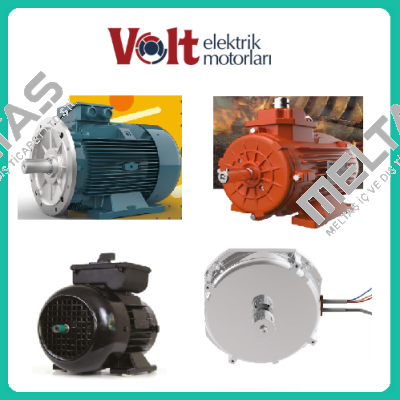 245705200749 (VM 100-4) Volt Elektrik Motor