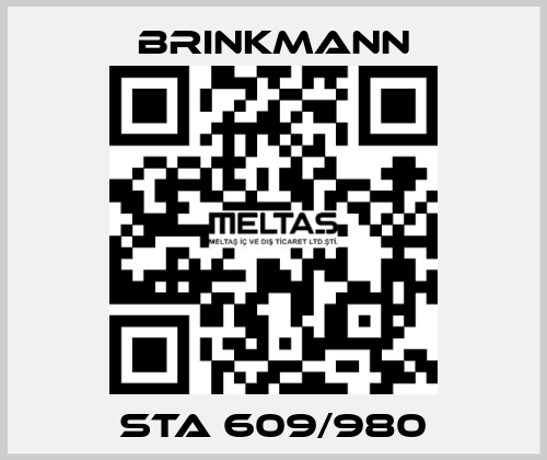 STA 609/980 Brinkmann