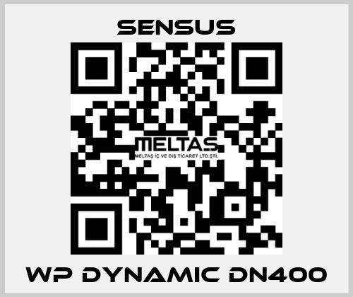 WP Dynamic DN400 Sensus