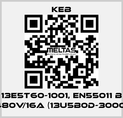 13E5T60-1001, EN55011 B 480V/16A (13U5B0D-3000) KEB